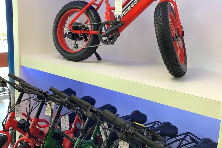 Electric Bikes Rental in Dunedin - Photo 1 of 3